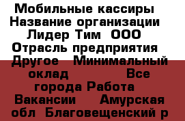 Мобильные кассиры › Название организации ­ Лидер Тим, ООО › Отрасль предприятия ­ Другое › Минимальный оклад ­ 50 000 - Все города Работа » Вакансии   . Амурская обл.,Благовещенский р-н